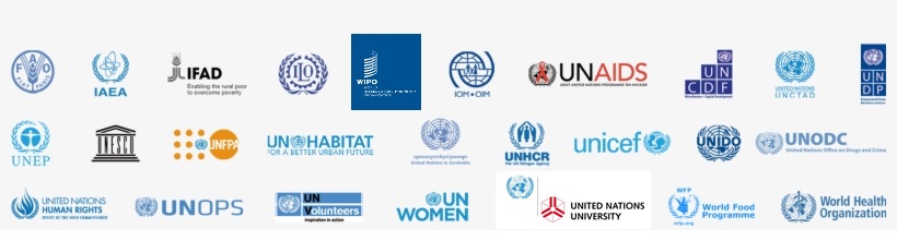 united nations organisation